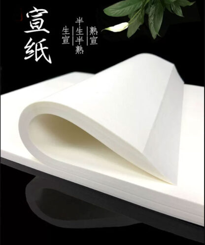 Reispapier für Tuschemalerei Sumi-e, Guohua Kalligraphie Shodo, Shufa