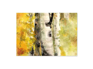 Birke Postkarte Landschaft Tuschemalerei birch landscape sumi-e painting