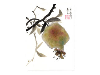 Granatapfel Pomegranate 石榴 postkarte postcard Tuschemalerei sumi-e painting