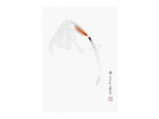postkarte postcard 金鱼 goldfish Tuschemalerei sumi-e painting