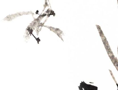 Blumen flower Orchidee orchid Tuschemalerei sumi-e painting