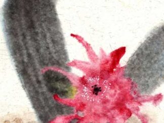 Blumen flower cactus Kaktus Tuschemalerei sumi-e painting