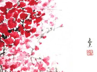 樱花 Kirschblüten Camellia Cherry blossoms Tuschmalerei Sumi-e Blumenmalerei flower painting