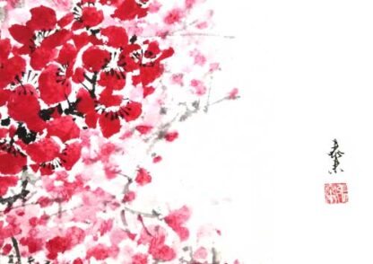 樱花 Kirschblüten Camellia Cherry blossoms Tuschmalerei Sumi-e Blumenmalerei flower painting