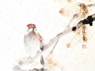 sparrow Spatz vogel bird 麻雀 Tuschmalerei Sumi-e Tuschzeichnung