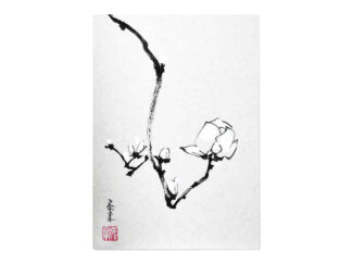 玉兰花 magnolia Magnolie postcard Kunstpostkarte Tuschmalerei Sumi-e